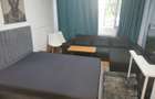 Apartament 1 camera, micro 40 - 15