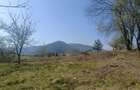 Teren cu vedere superbă in natură  - 5