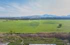 Teren intrare Sanpetru 668mp, str Tudor Arghezi-cu AC imprejmuire - 8