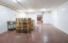 RECO Spatiu comercial de inchiriat - 3