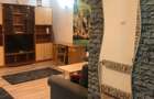 Garsoniera in vila - parter - 350 euro cu utilitati incluse (Cod E2+E7) - 1