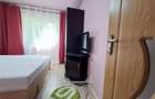 Apartament 2 camere, mobilat si utilat, interesctia Podu de Fier - 2