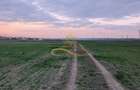 TEREN INTRAVILAN IN LILIECI, BACAU - 7