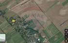 Teren 9,115mp Nuci / Drumul Tarla 58 - 3