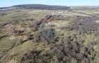 Teren 20.146 mp Dâmbu Rotund (Lomb).Extravilan.Potențial rezidențial - 16
