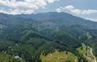 Teren intravilan, 3000 mp, Dâmbu Morii - 9
