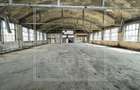 Teren intravilat - zona Tractorului - 16058mp + 8 constructii separate - 7
