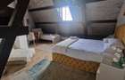 Apartament de inchiriat in vila et 2, Parc Carol, Unirii-Tineretului - 7