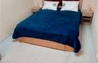 Exclusivitate! Ap. 2 camere, Tatarasi-Piata Chirila, Renovat complet - 7