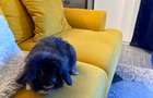 *SHORT TERM RENTAL* AM097 - INDUSTRIAL STYLE APARTMENT - 44