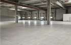 Spatiu Industrial - 4600 mp - Productie - Depozitare - Distributie - 12