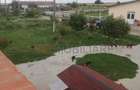 Ferma Zootehnică Mixtă – Cernateaz, Timiș | 9,5 ha | Hale Moderne, Casă 2019, va - 15