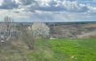 Teren intravilan 3271 mp Valea Lupului, Iași deschidere la asfalt 1 Decembrie - 5