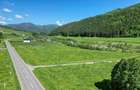 Teren intravilan In Zarnesti zona Plaiul Foii deschidere asfalt si priveliste - 6