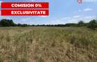 COMISION 0% Teren de vanzare intravilan de 5000 mp in zona Sagului - 10