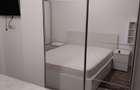 Inchiriere Apartament 2 camere decomandat Herastrau - 13
