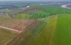 Teren intravilan 10.000 mp în Zona Industrială Sud Arad - 10