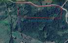 Teren de vanzare in Tomnatic, 6,45 hectare intravilan pentru agrement, Bihor - 1