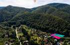 Terenuri la marginea pădurii – Poiana Mărului, zonă superbă | Com 0% - 5