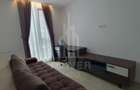 Apartament 3 camere de închiriat Doamna Stanca - 8