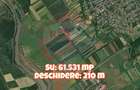 De vanzare Teren extravilan 61.531 mp, Com Mitreni, Calarasi / DN 4 - 3