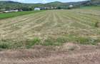 TEREN Intravilan in suprafata de 3024 mp, cu deschidere la drum de 18 m - 4