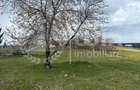 Teren intravilan ideal pentru investitie 1716mp | Front 38m | Marisel - 1
