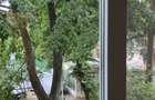 Apartament 3 camere Drumul Taberei - 10