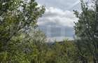 Teren intravilan de vanzare, 1.400 mp, zona Viile Noi - 2