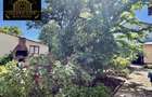 Comision 0% | Colentina | Casa 7 camere| Teren 677 - 12