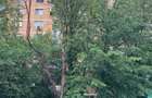 2 camere  PET FRIENDLY  / Drumul Taberei / Râul Doamnei - 8