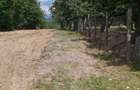 Teren zona montana in com.Turcinesti Jud.Gorj - 5