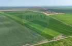 Teren extravilan Săcele ideal pentru silozuri, fermă sau investiție - 9