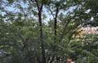 REA0130329 2 Camere Titulescu bloc 1982 - 9