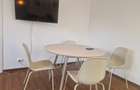 Apartament cochet zona Take Ionescu-cu centrala gaz - 10