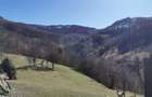 De vânzare teren intravilan 10,100 mp, cu anexă, Munteni - 4