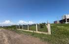 TEREN INTRAVILAN 1247 mp - PALAZU MARE - 2