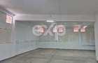 Spațiu Comercial 210 mp + Teren 2.000 mp | Centru Băjești | Chiriaș Existent - 6