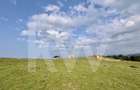 Teren 1003 mp în Păltiniș | Priveliște panoramică către munți - 3
