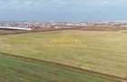 Teren investiție Măgurele 17.500 mp - 4