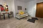 3 Camere Openspace, Modern, Parcare, Prima inchiriere, Lidl, UMF,USAMV - 3
