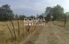 Vanzare teren intravilan 6843 mp, aproape de Manastirea Polovragi - 3