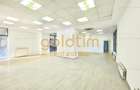 SPATIU COMERCIAL/SHOWROOM/PARCARE/VICTORIEI - 14