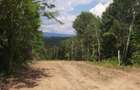 Teren zona montana in com.Turcinesti Jud.Gorj - 6