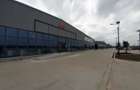 Afumati - centru logistic si comercial nou - supraf. 1000-20000mp - 1