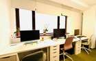 Birouri private, spatii creative in vila de lux, zona ultracentrala | Dorobanti - 25