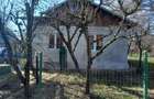 Vand teren, livada + 2 corpuri de casa batranesti - 6