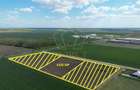 COM 0% Teren industrial pretabil hale, servicii | DN69 Sanandrei - 1