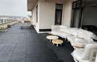 INCHIRIERE PENTHOUSE LUX ALEEA PRIVIGHETORILOR  - 5