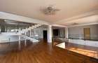Proprietate premium reprezentativă cu utilizare mixtă, 650 mp si teren 3000 mp - 7